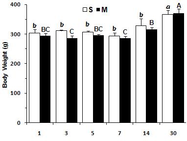 Changes of body weight (g) at 1, 3, 5, 7, 14 and 30 days after sham ligation (S) and ligation of left coronary artery (M).