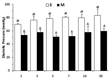 Changes of Diastolic Arterial Pressure (mmHg) at 1, 3, 5, 7, 14 and 30 days after sham ligation (S) and ligation of left coronary artery (M).