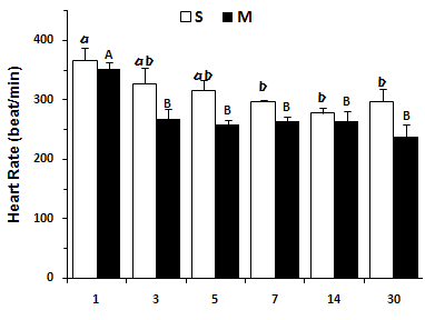 Changes of Heart Rate (beat/min) at 1, 3, 5, 7, 14 and 30 days after sham ligation (S) and ligation of left coronary artery (M).