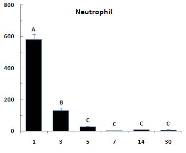 Infiltration of neutrophils (mm2) at 1, 3, 5, 7, 14 and 30 days after ligation of left coronary artery (M).