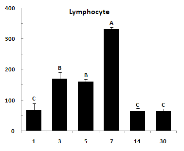 Infiltration of lymphocyte (mm2)at 1, 3, 5, 7, 14 and 30 days after ligation of left coronary artery (M).