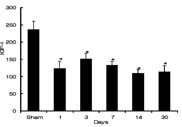 Serum concentrations of IGF-I (ng/ml) in myocardial infarcts at different time points.