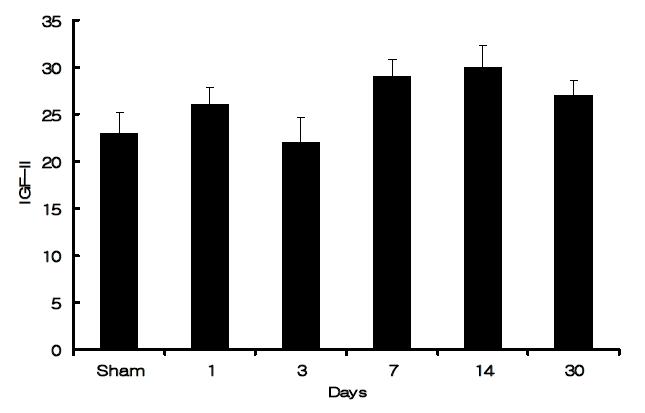 Serum concentrations of IGF-II (ng/ml) in myocardial infarcts at different time points. Values are mean ± S.E.M. * < 0.05 as compared to sham operated rats.