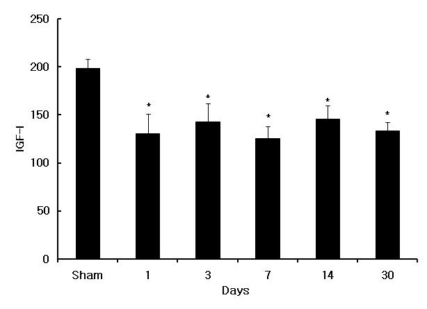 IGF-I concentrations (ng/g) of cardiac tissue in myocardial infarcts at different time points. Values are mean ± S.E.M. * < 0.05 as compared to sham operated rats.