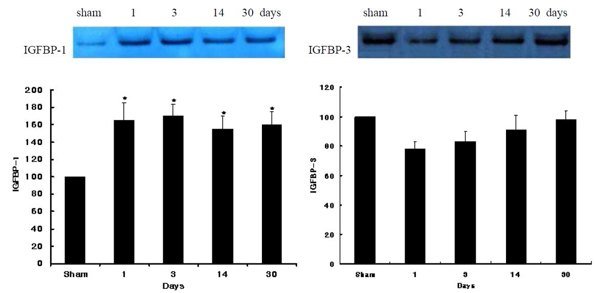 IGFBP-1 and IGFBP-3 expressions in cardiac tissue after myocardial infarction.