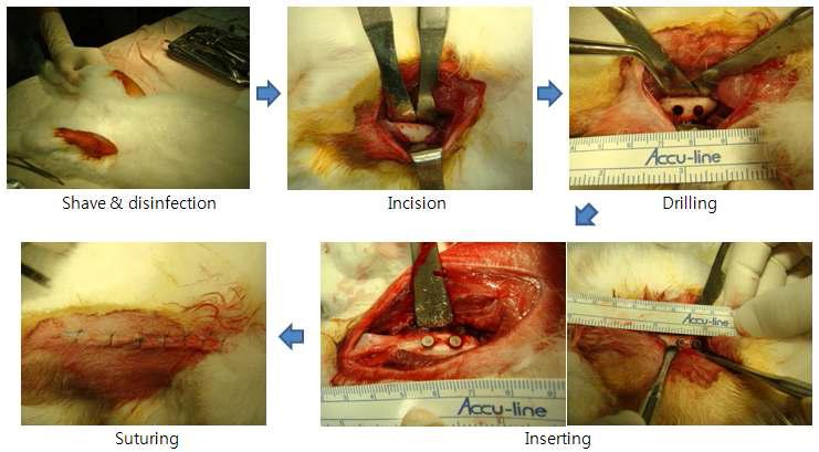 Surgical procedures for animal test