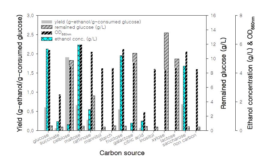 에탄올생산용 배지에서 탄소원의 영향.