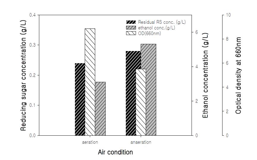 에탄올 생산 배양에서 산소의 영향 .