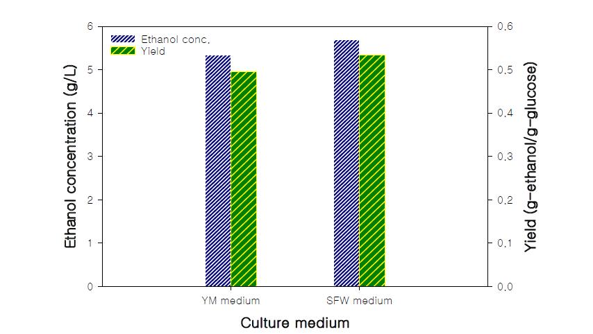 에탄올 생산을 위한 YM 배지와 SFW 배지의 비교.