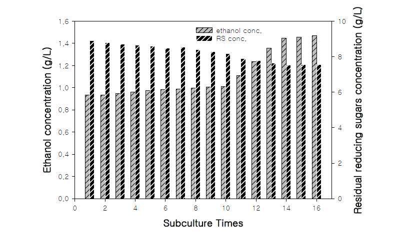 에탄올 생산성 향상을 위한 40℃에서의 계속적인 계대배양 결과. (음식물류 폐기물의 기본 조성 C : N = 44.72 : 2.482)
