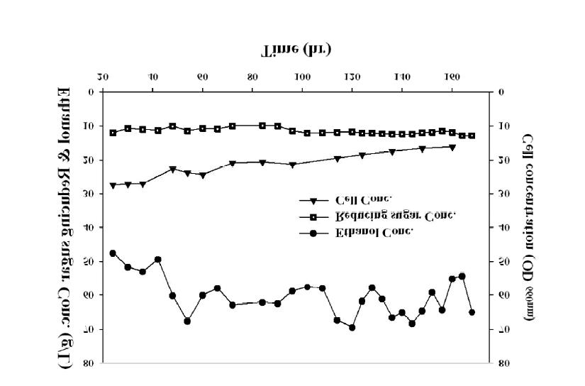 초기 환원당 농도 100 g/L일 때 효모 고밀도배양에 의한 연속식 에탄올발효
