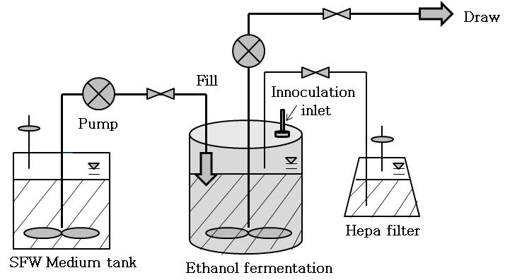 10 L 생물배양기에서 fill and draw방식을 이용한 동시당화발효 배양시스템