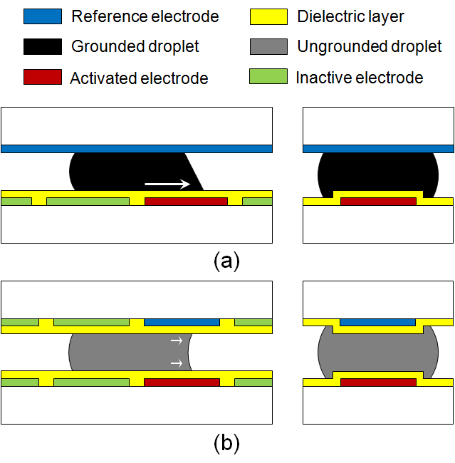 Schematics of two-plate electrowetting configurations; (a) ground-type and (b) unground-type.