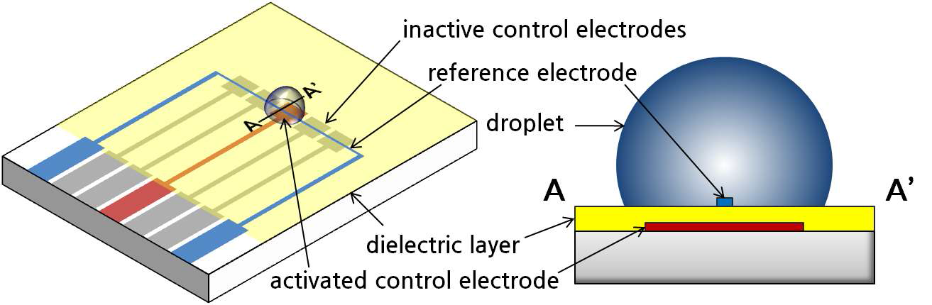 A schematic of a single-plate configuration for electrowetting droplet transport and its cross-section view