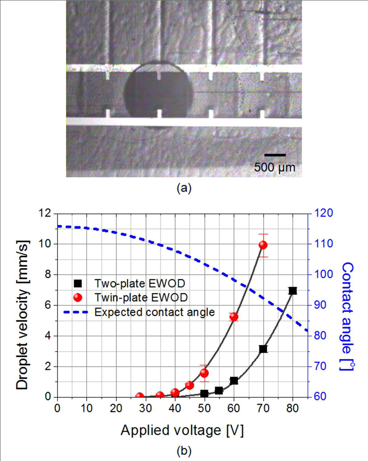 Experimental results