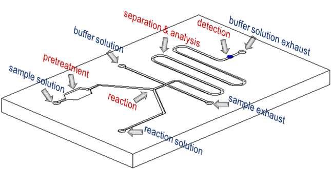 Schematic of LOC