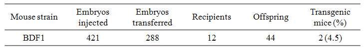 Efficiency of transgenic mice production.