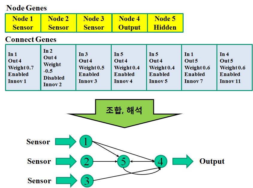 NEAT의 구성