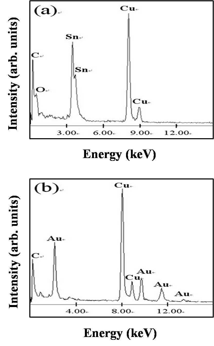 (a) Branch부분 (Fig. 14b의 spot (A))과 (b) tip부분 (Fig. 14b의 spot (B))의 EDX spectrum