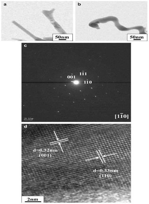 (a, b) TEM images of the branches. (c) SAED pattern taken from the branch part of the nanostructures. (d) Lattice-resolved TEM image near the edge of a branch.