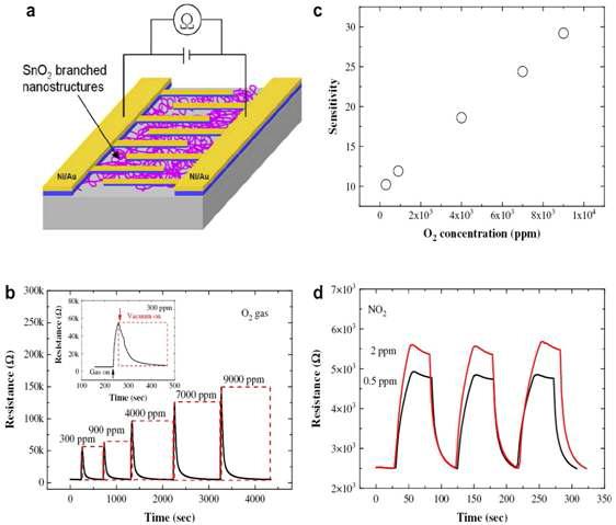 (a) Schematic of a sensor fabricated with SnO2-branched nanostructure. (b) Typical response curve to oxygen gas at 200_C for a sensor fabricated from the branched nanowires. Resistance changes with oxygen concentration. The inset represents an enlarged part of the data measured for 300 ppm O2. (c) Variation of sensitivity under varying O2 concentration. (d) Dynamic response of a branched nanowire sensor to NO2 gas.