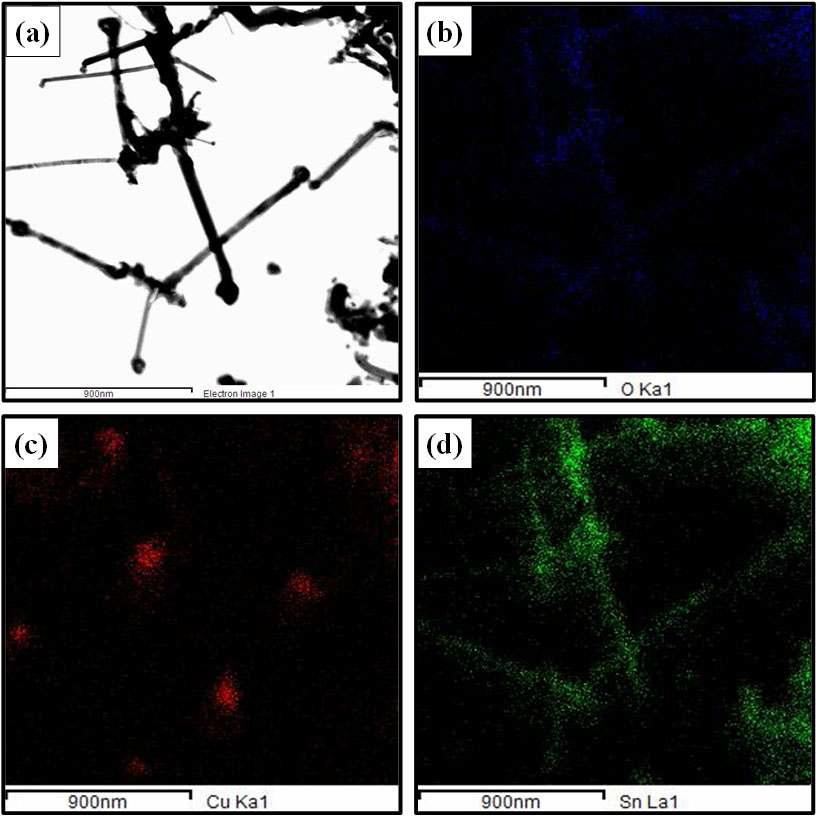 34 700도 anneal한 SnO2/Cu core-shell 나노선의 Elemental mapping 분석 (a) TEM 사진 (b) O 원소 (c) Cu 원소 (d) Sn 원소