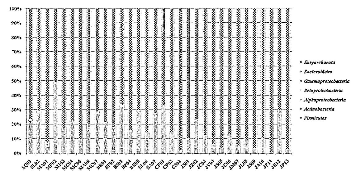 Pyrosequencing 을 통한 내생 세균의 분류학적 분포