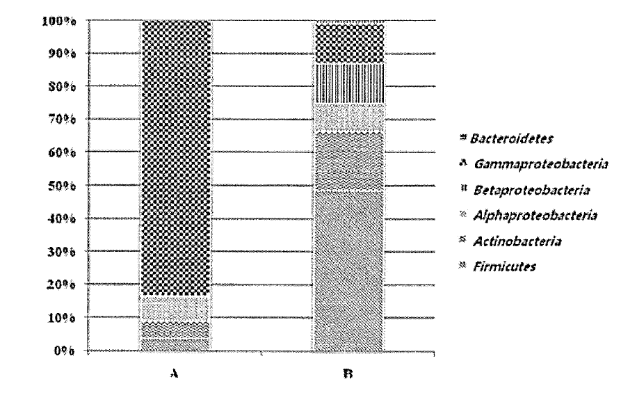 방법적 차이에 따른 분류학적 분포의 비교 A, pyrosequencing data; B, cultured isolates.