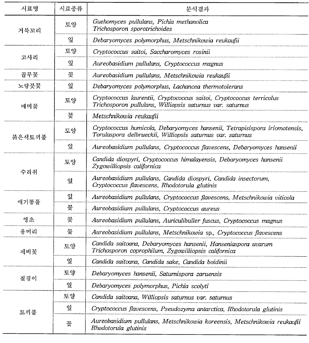 초본류에서 분리된 효모 균주의 26S rRNA gene D1/D2 영역 염기서열 분석결과