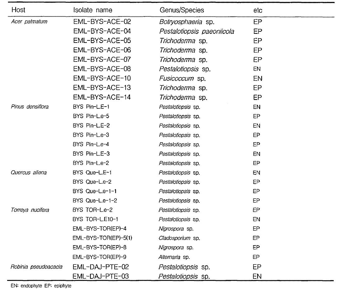 Endophytic and epiphytic fungal flora from leaf of trees from Mt. Baegam and Daejeon