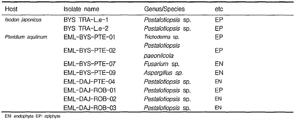 Endophytic and epiphytic fungal flora from leaf of herbs from Mt. Baegam and Daejeon