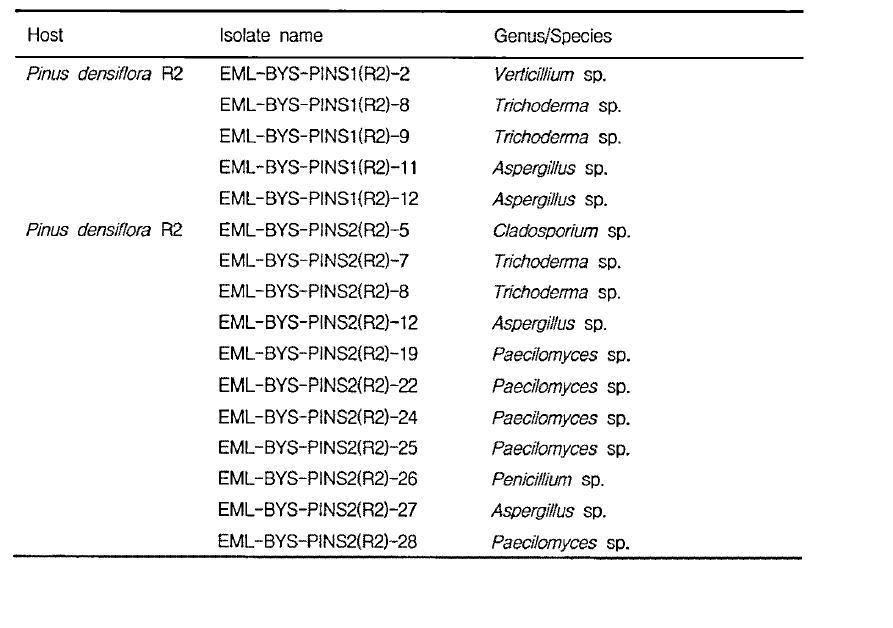 Fungal flora from other rhizosphere (R2) sample of pine tree (Pinus densiflora) from Mt. Baegam