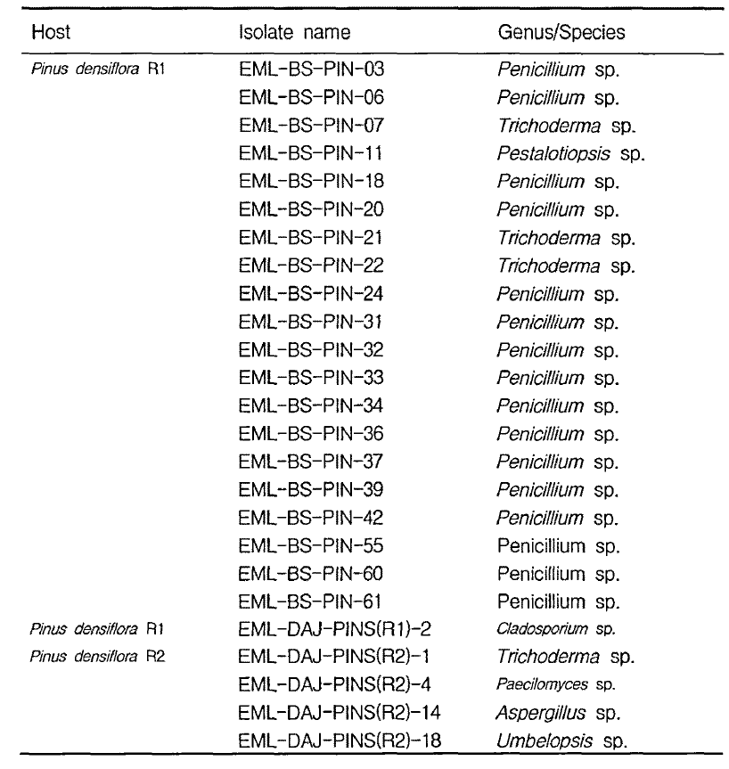Fungal flora from other rhizosphere sample of pine tree (Pinus densiflora) from Byeonsan, Seosan and Daejoen