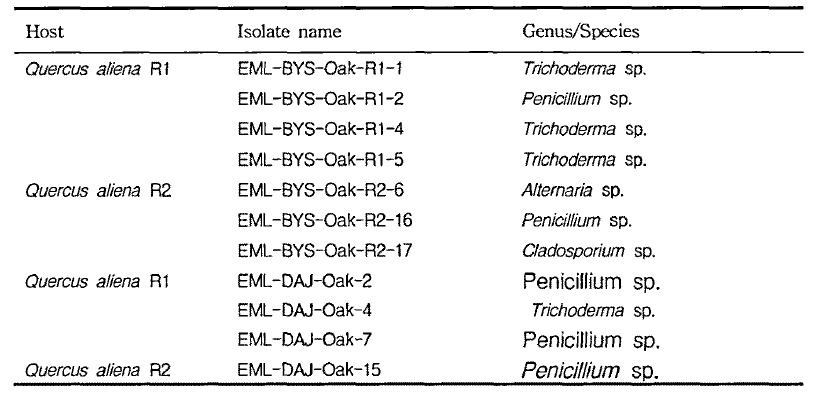 Fungal flora from other rhizosphere sample of oak tree (Quercus aliena) from Mt. Baegam and Daejoen