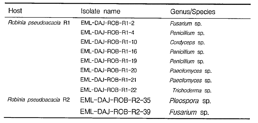 Fungal flora from other rhizosphere (R1, R2) sample of acacia (Robinia pseudoacacia L.) from Daejeon