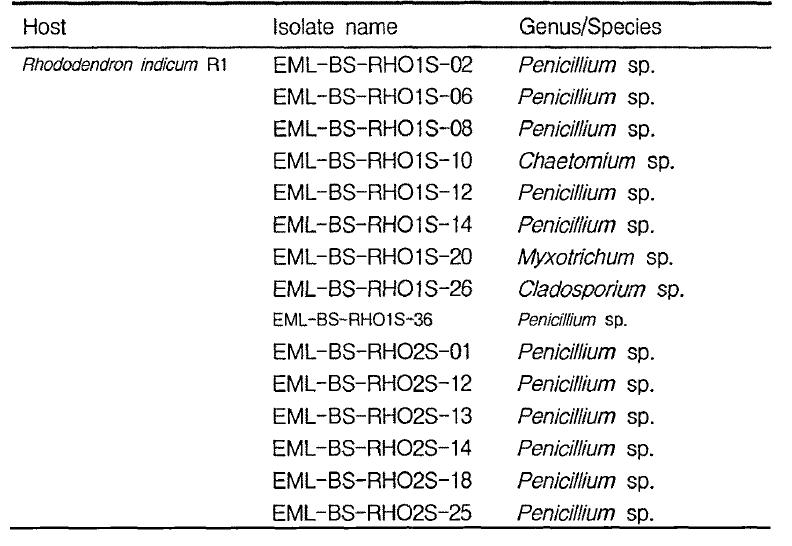 Fungal flora from other rhizosphere (R1, R2) sample of azalea (Rhododendron indicum) from Byeonsan, Seosan