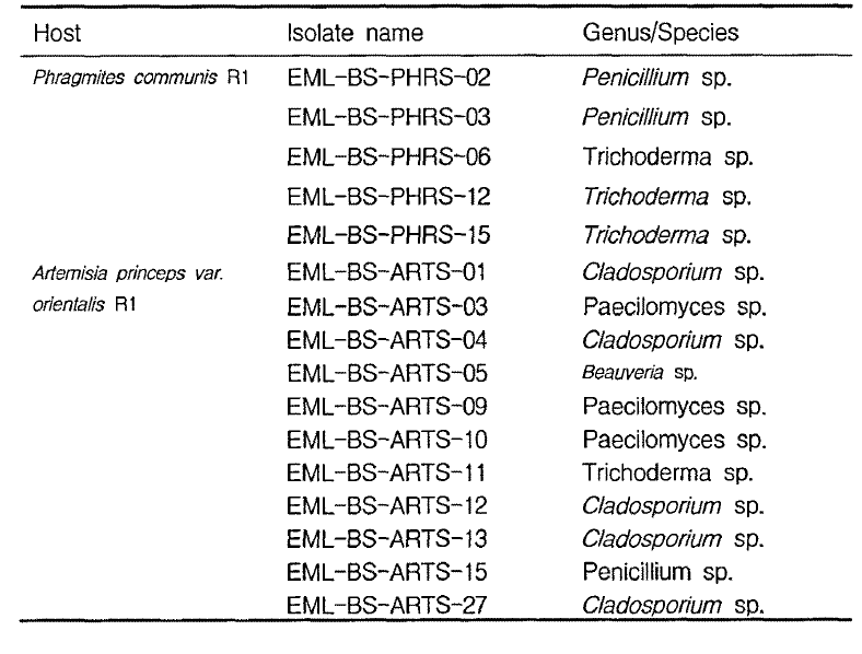 Fungal flora from other rhizosphere (R1, R2) sample of reed (Phragmites communis) and sagebrush (Artemisia princeps var. orientalis) from Byeonsan, Seosan