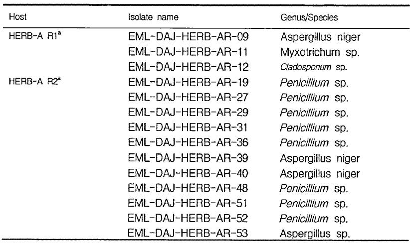 Fungal flora from other rhizosphere (R1, R2) sample of HERB-A from Daejeon