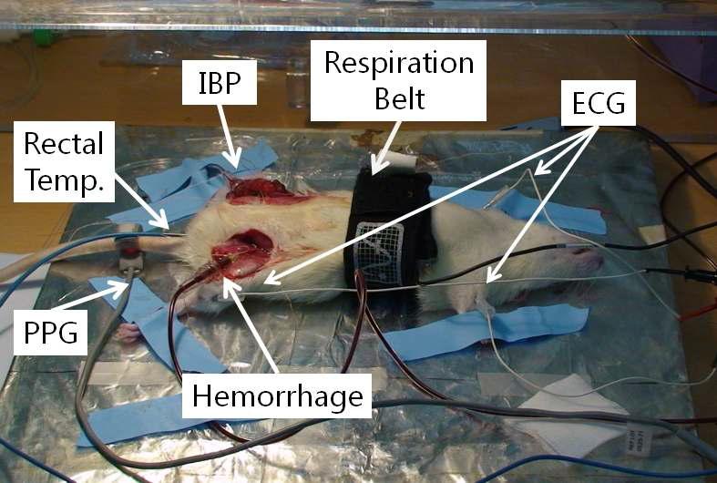 Rat으로부터 vital sign들을 측정하는 사진