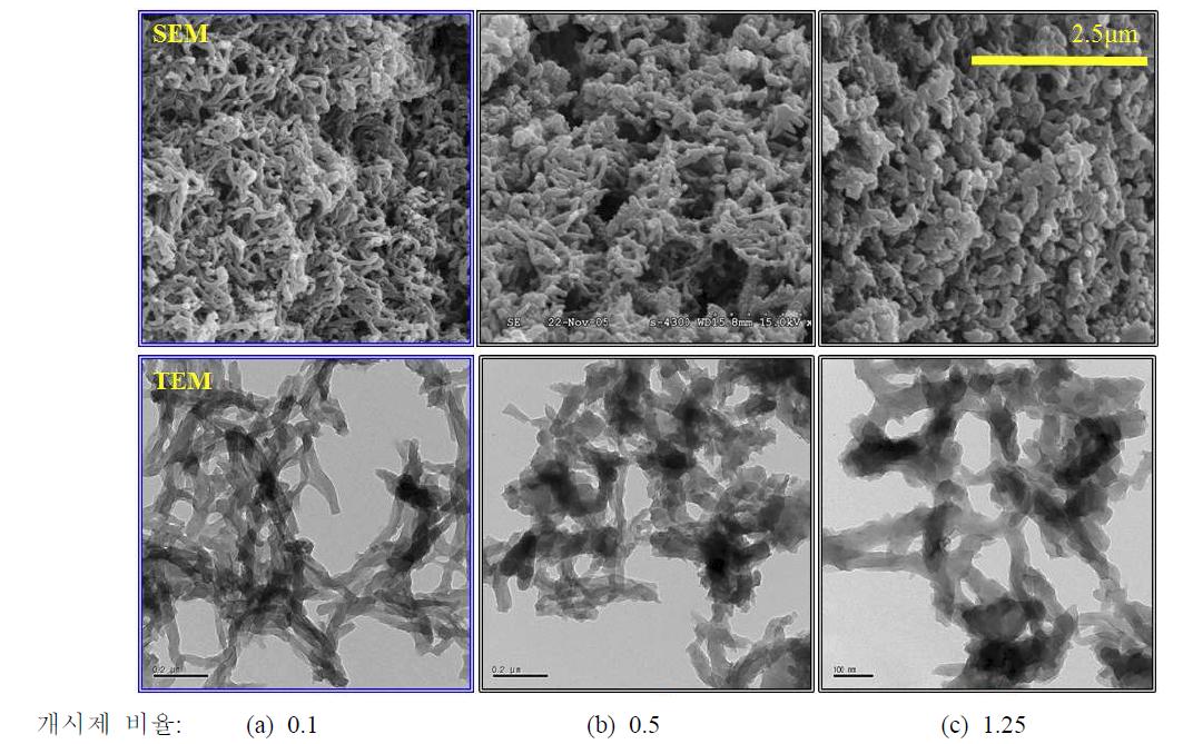 SEM images (above) and TEM images (below) for synthesized polyaniline nanofibers