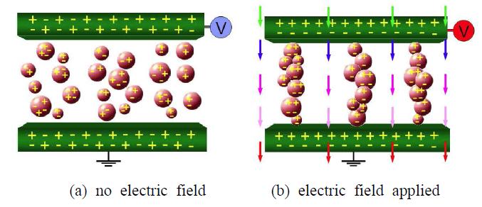 Micromechanism of ER fluid