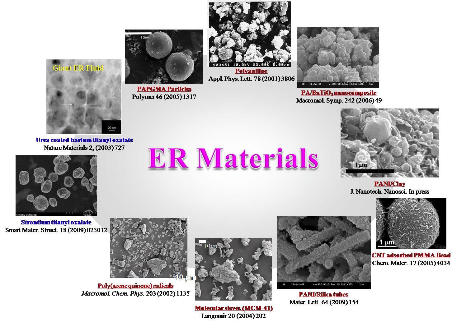 ER System