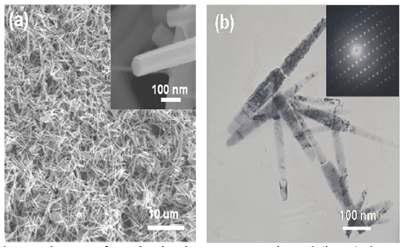 ZnO 나노로드의 SEM 이미지(a), TEM 이미지(b)5Z)n OZ n나O