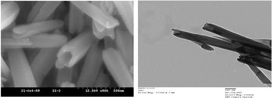 ZnO 나노튜브의 SEM 이미지(a), TEM 이미지(b)