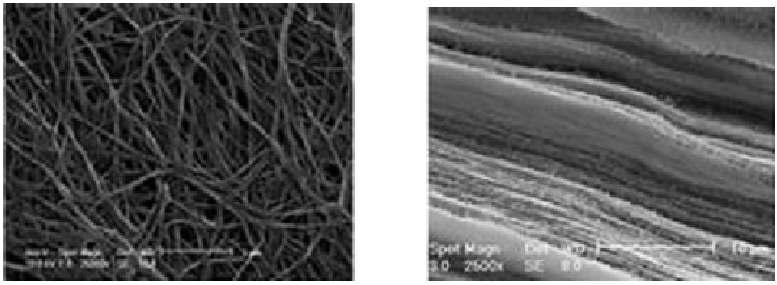 박테리아 셀룰로오스의 표면(좌)과 단면(우)의 주사전자현미경 사진