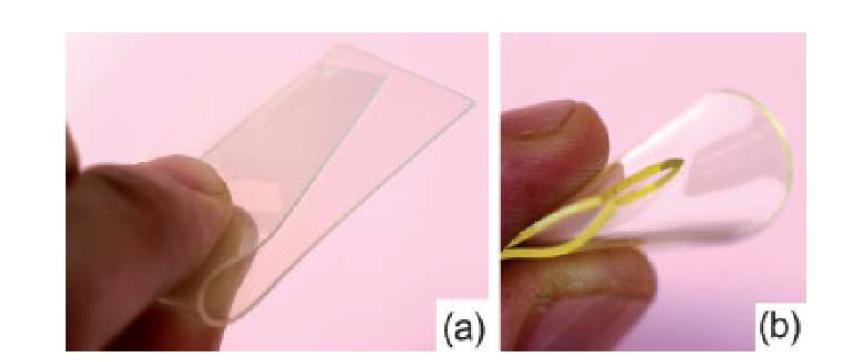 박테리아 셀룰로오스를 이용한 투명 필름과 굽힘 특성의 강화