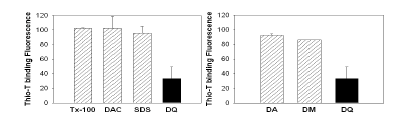 α-synuclein amyloid에 대한 DQ 및 detergent들의 분해효과 비교