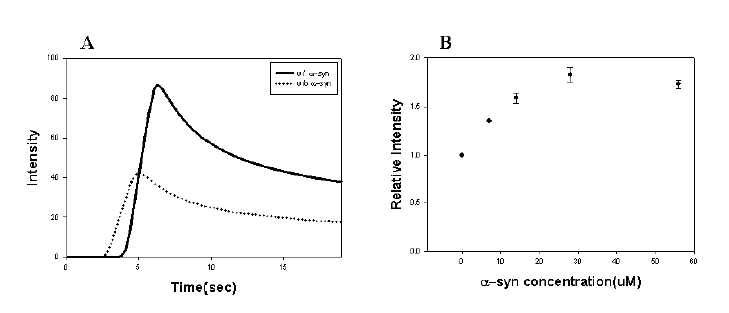 Enhanced bioluminescence activity of luciferase induced by α-synuclein