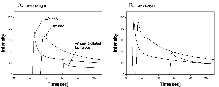 Effects of α-synuclein on the actions of coA to luminescence kinetics