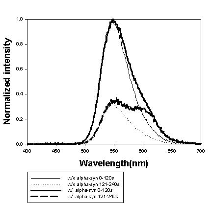 Bioluminescence spectrum of luciferase